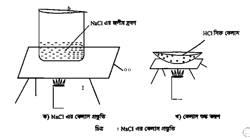 লবাণের স্ফটিক প্রস্তুতি (৬ষ্ঠ শ্রেণির বিজ্ঞান ১৯ সপ্তাহ)