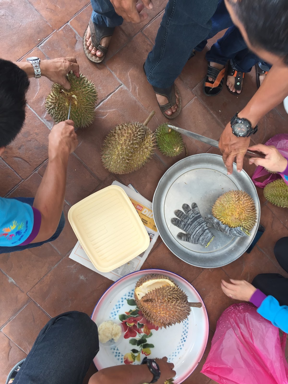 23+ Rumah Untuk Disewa Di Balik Pulau Penang Pics