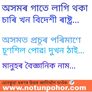 মানুহৰ বৈজ্ঞানিক নাম