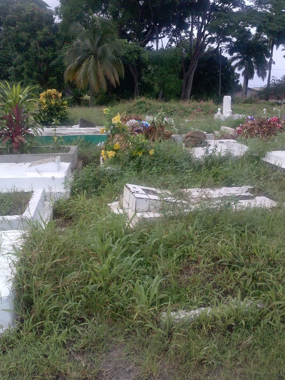 Roseau Neglected Cemetery