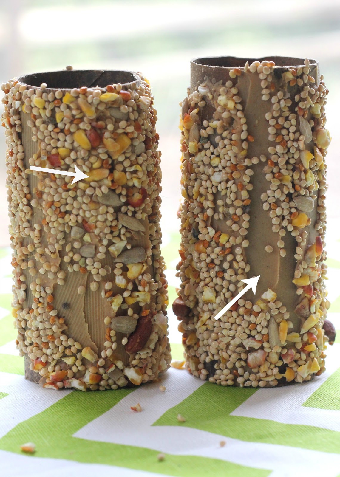 Ashlea Carlin Bird Feeder Kiddo Craft