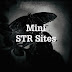 Mini STR Sites