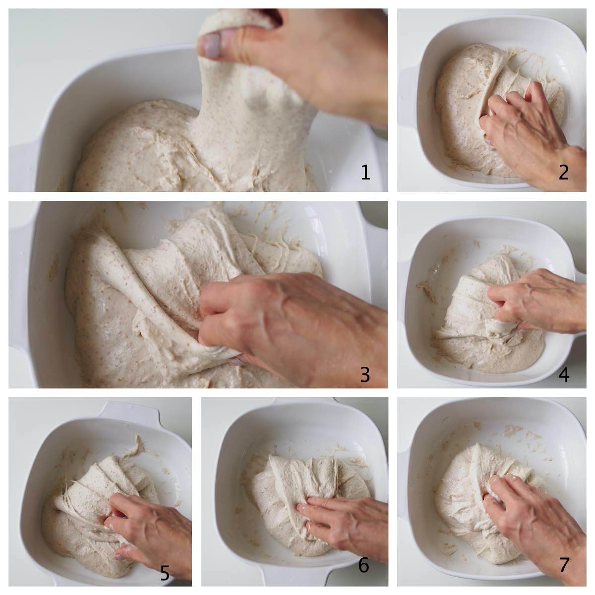 Basic Open Crumb Sourdough Bread Medium Hydration Bake With Paws