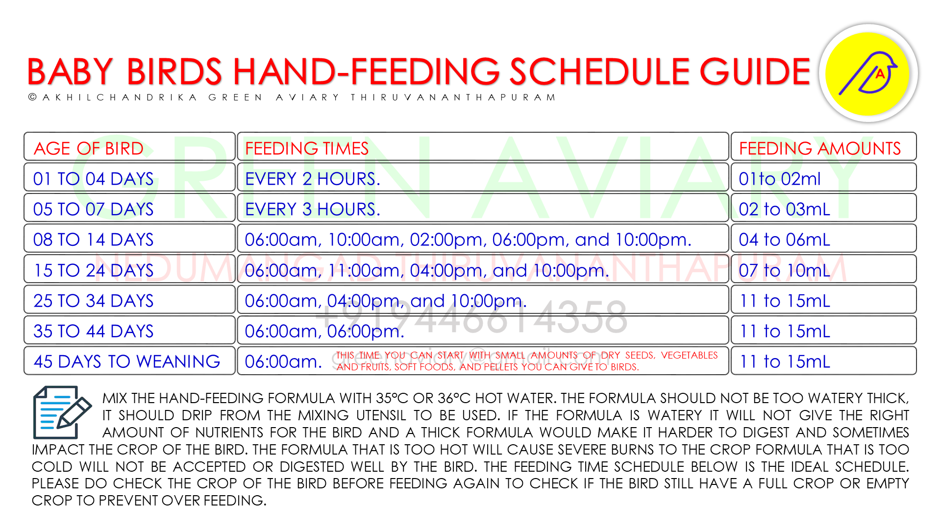 BABY BIRDS HANDFEEDING SCHEDULE GUIDE