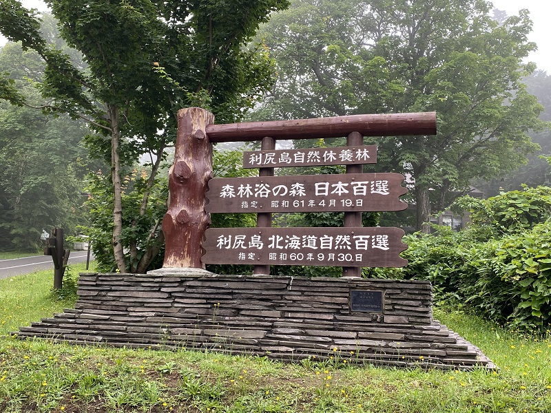 野外活動 キャンプ 沼の畔から