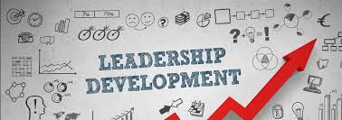 Bmal 504 case study response paper picture