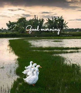 200+ Good Morning Quotes in Hindi, Best Good morning sms in Hindi 2020 200+ Good Morning Quotes in Hindi, Best Good morning sms in Hindi 2020