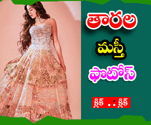 February 2021 - Top World 2020 Pron stars Exposing Nude videos gifs