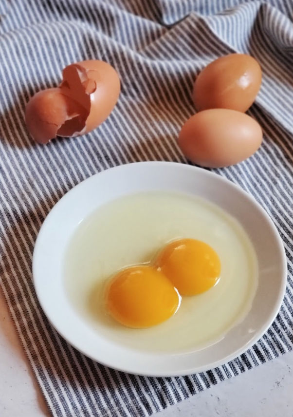 All About Double Yolk Chicken Eggs Fresh Eggs Daily® with Lisa Steele