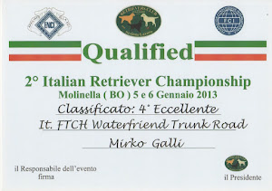 TABO 4° ECCELLENTE 2° ITALIAN CHAMPIONSHIP Molinella 5/6 Gennaio 2013