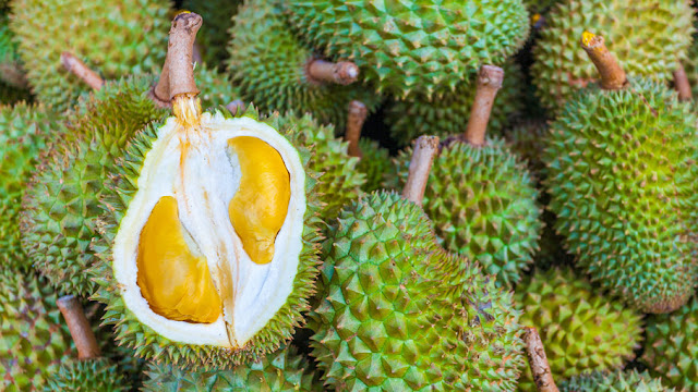 Facts you may not know about Durian Fruit