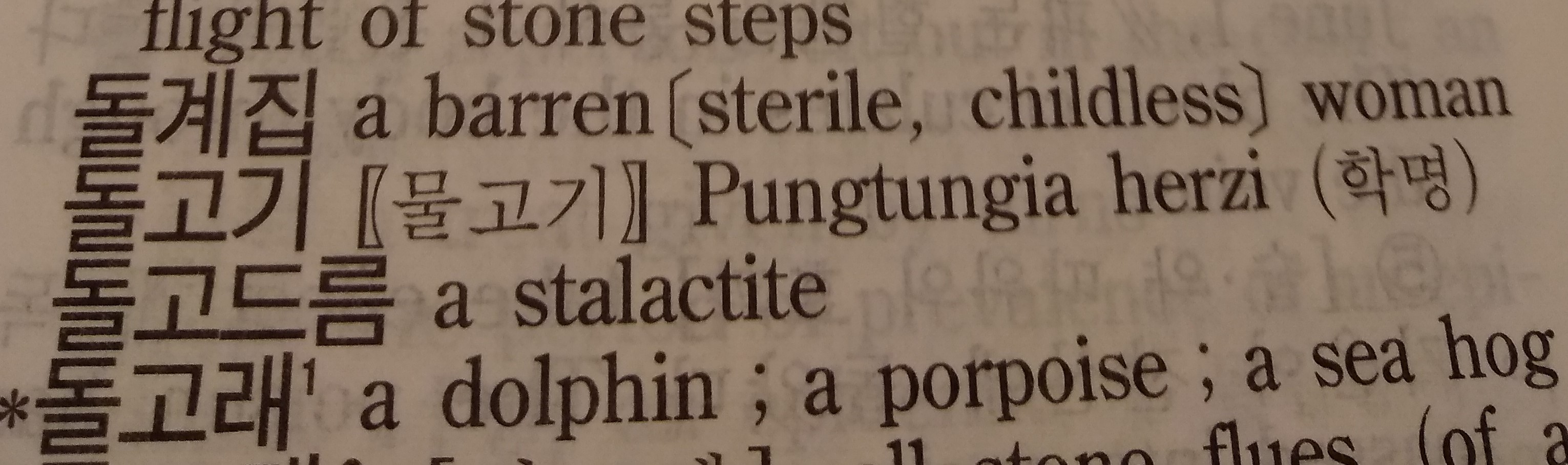 Korean Language Notes: What does 석녀 (石女) literally mean?