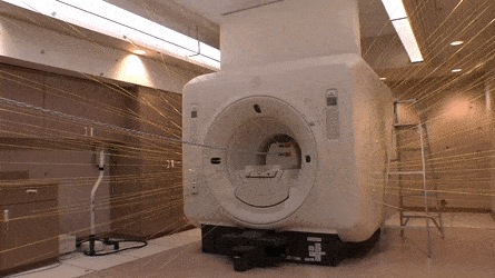 5.gif