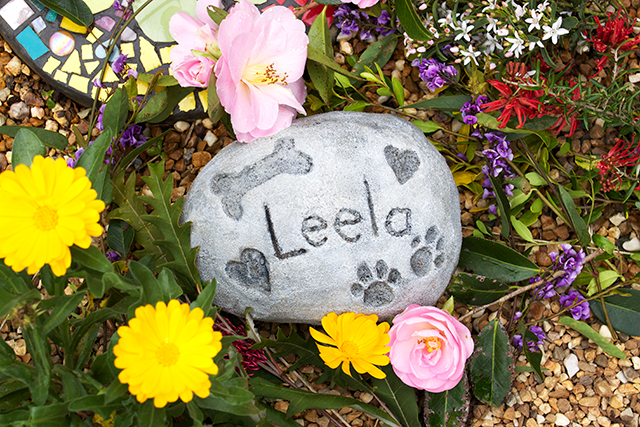 creating with Jules: pet memorial stone