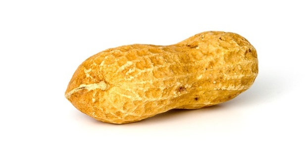 Researchers identify novel genes associated with severity of peanut allergy Researchers identify novel genes associated with severity of peanut allergy