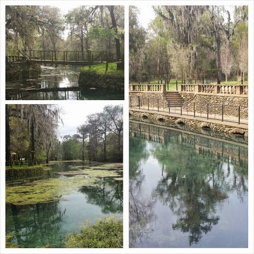 Compulsively Yours Radium Springs Gardens