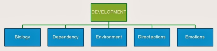 Be students, be teachers: Development