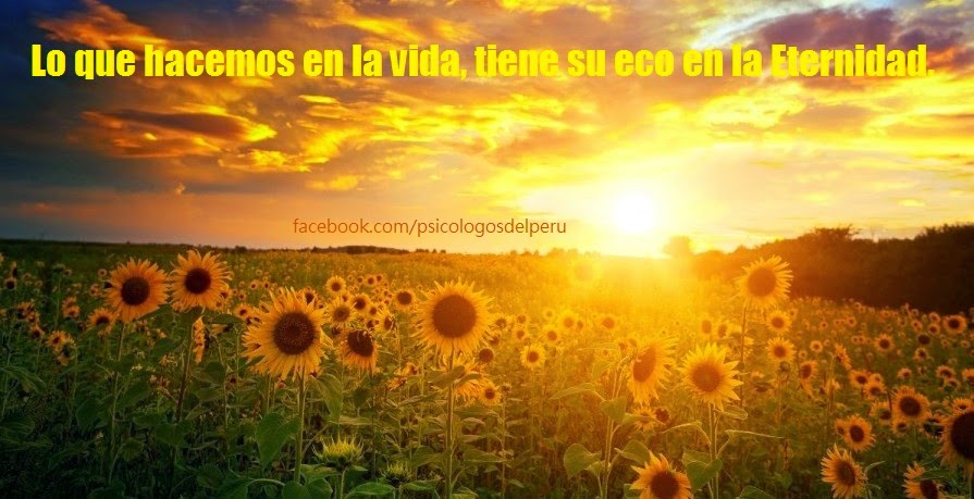 PSICOLOGOS PERU: 17 FRASES SABIAS CON EL SUNSET (PUESTA DE SOL)