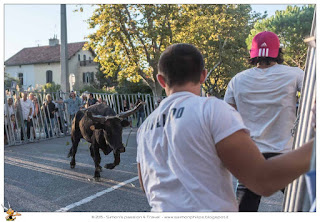 Corsa camarghese toro carica Corsa camarghese toro carica