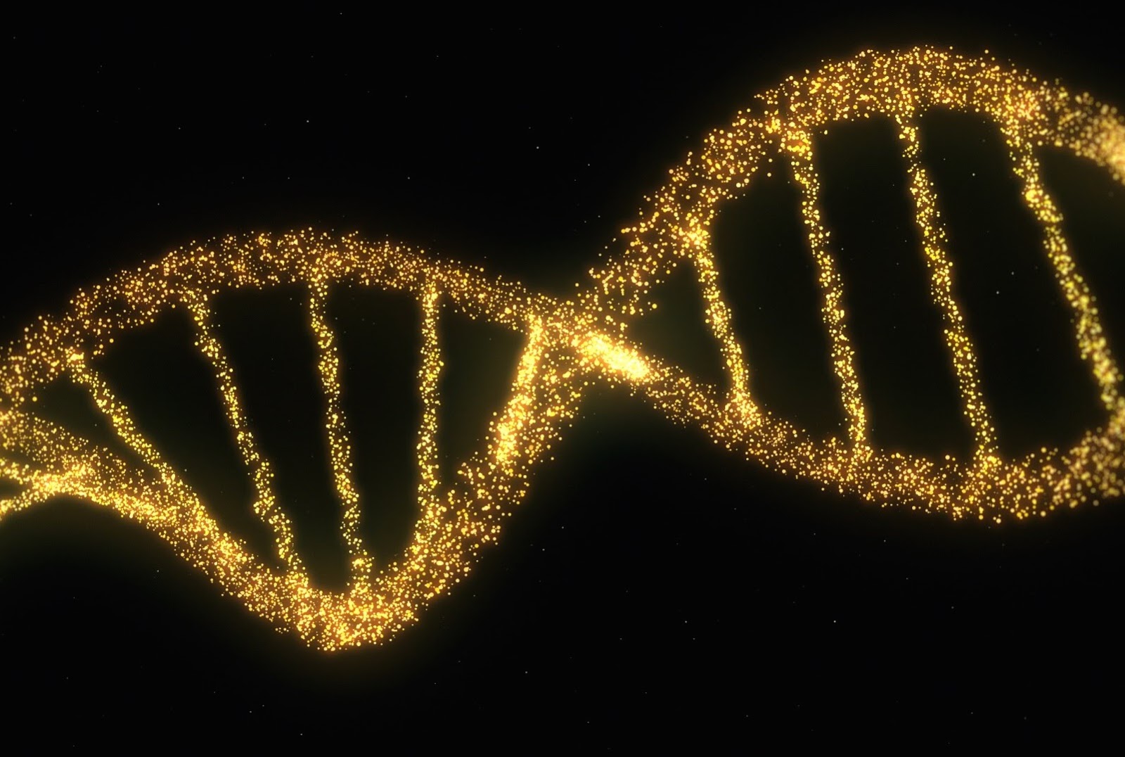 about the human genome The genome's been mapped but what does it mean arguably the most significant scientific discovery of the new century, the mapping of the twenty-three pairs of chromosomes that make up the human genome raises almost as many questions as it answers. about the human genome The genome's been mapped but what does it mean arguably the most significant scientific discovery of the new century, the mapping of the twenty-three pairs of chromosomes that make up the human genome raises almost as many questions as it answers.