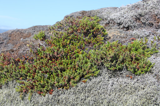 Велопоход по Исландии