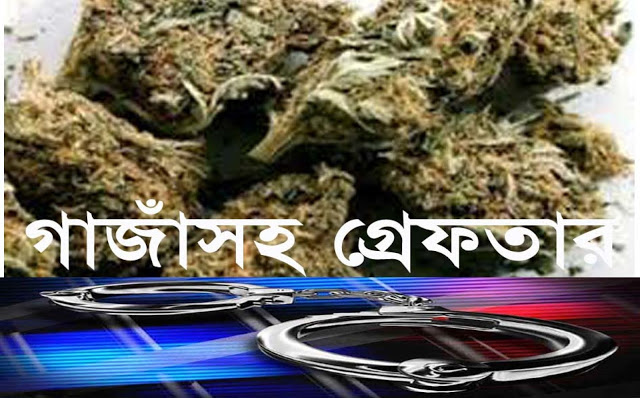 নন্দীগ্রামে  র‌্যাবের অভিযানে ৫ গাঁজা ব্যবসায়ী গ্রেপ্তার