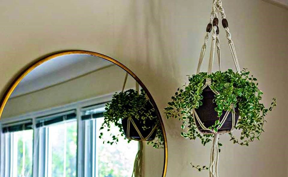 Macrame plant hanger project