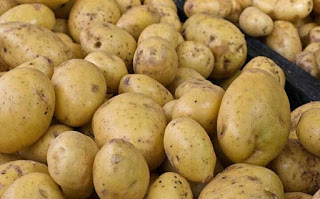 Khasiat Dan Manfaat Kentang Untuk Obat Bisul Secara Alami Selain kaya akan gizi dan protein yang diperlukan oleh tubuh Khasiat Dan Manfaat Kentang Untuk Obat Bisul Secara Alami