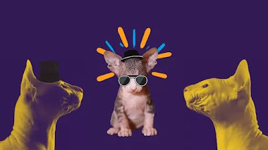 4 razas de gato sin pelo que no conocías