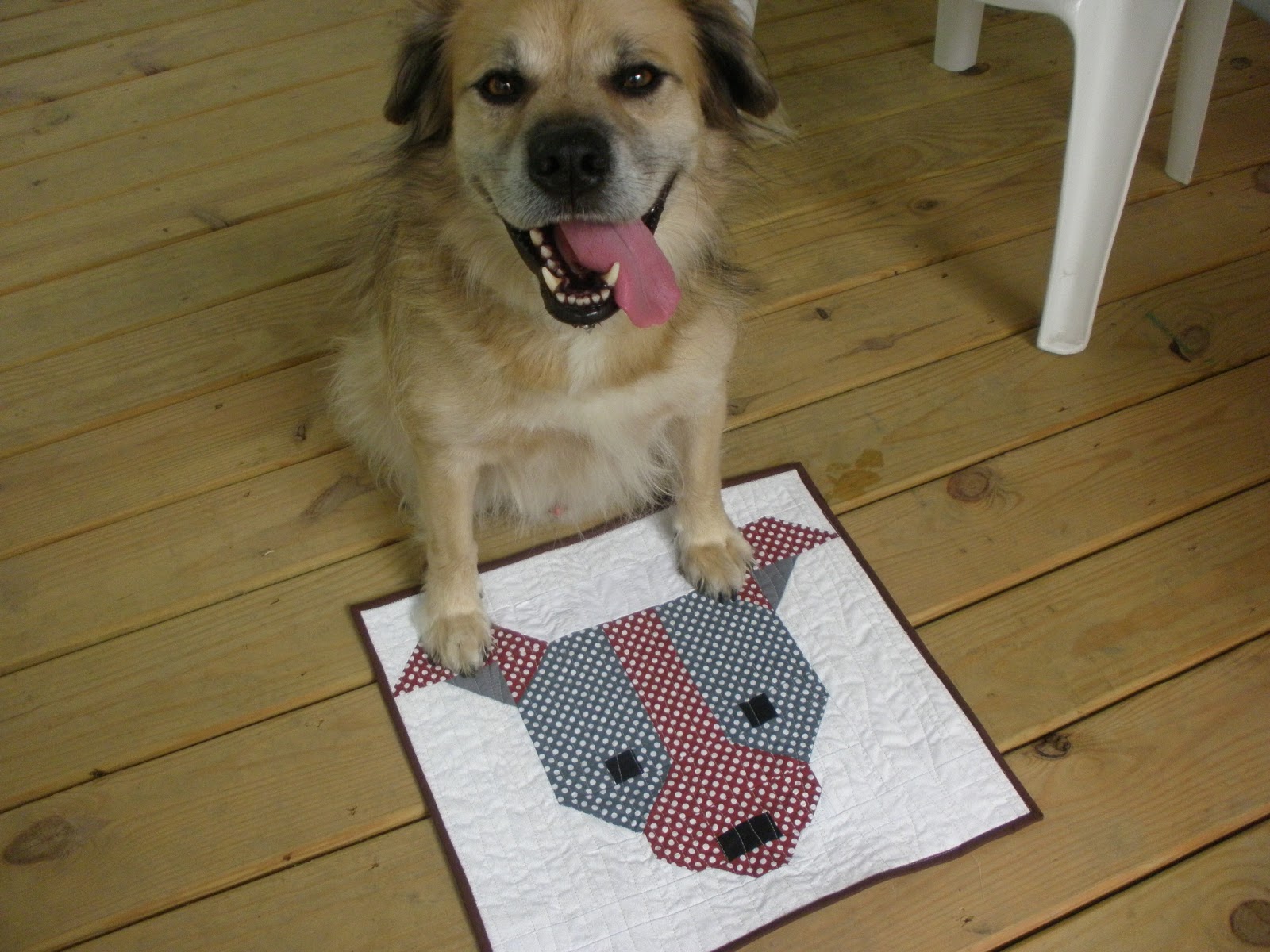 High Road Quilter Pets on Quilts 2016