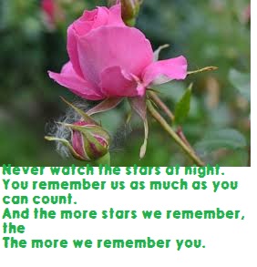 shayari on dosti funny-Friendship should not be less shayari on dosti funny-Friendship should not be less