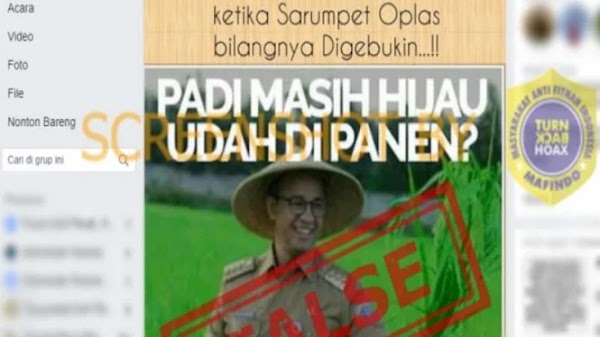 Foto Gubernur Anies Panen Padi Masih Hijau, Cek Faktanya