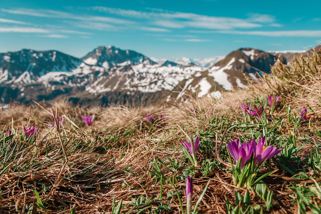 Sonnenaufgangswanderung auf den Saalkogel  Saalbach-Hinterglemm 10