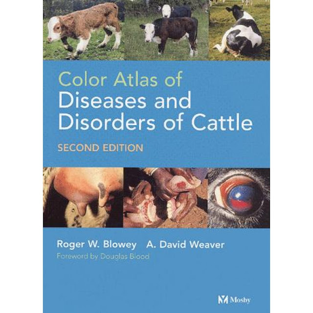 Color Atlas of Diseases and Disorders of Cattle 2nd Ed - WWW.VETBOOKSTORE.COM