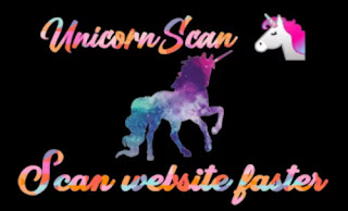 Unicornscan Kali Linux