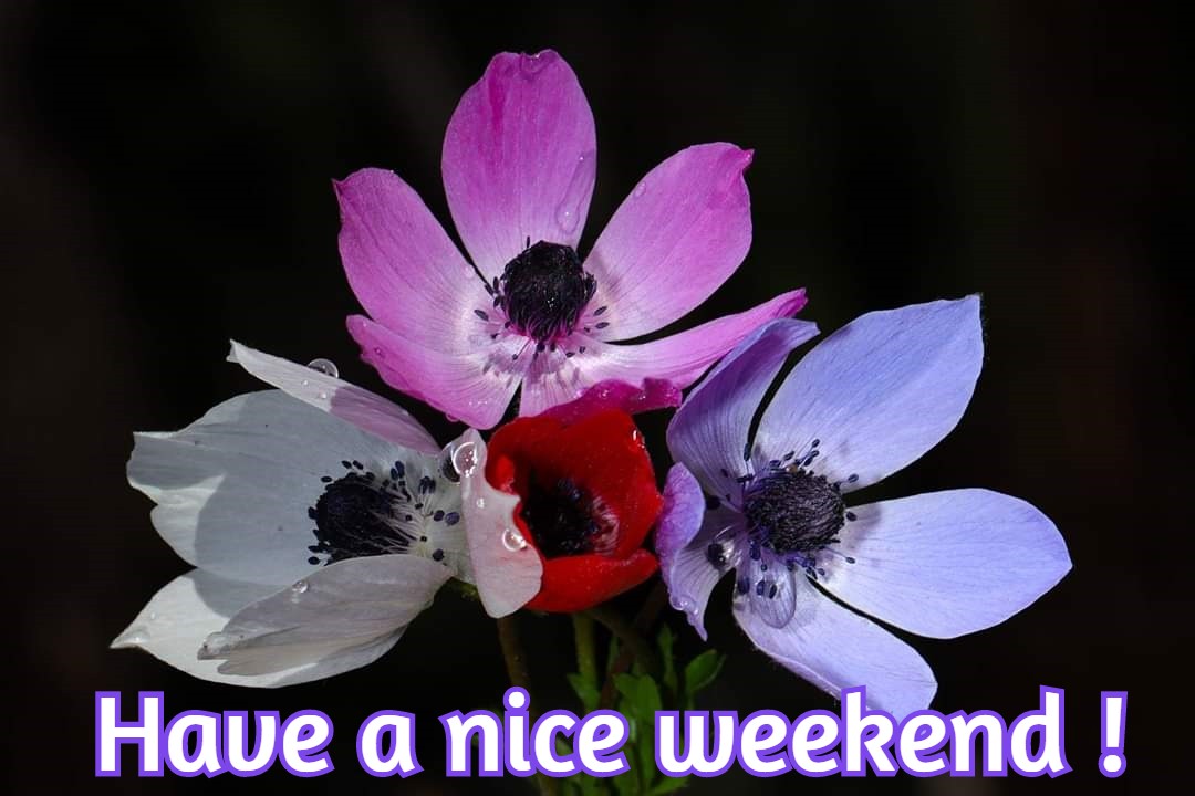 WEEKEND IMAGES TO SEND YOUR FRIEND TO SAY HAPPY WEEKEND - Beautiful Messages