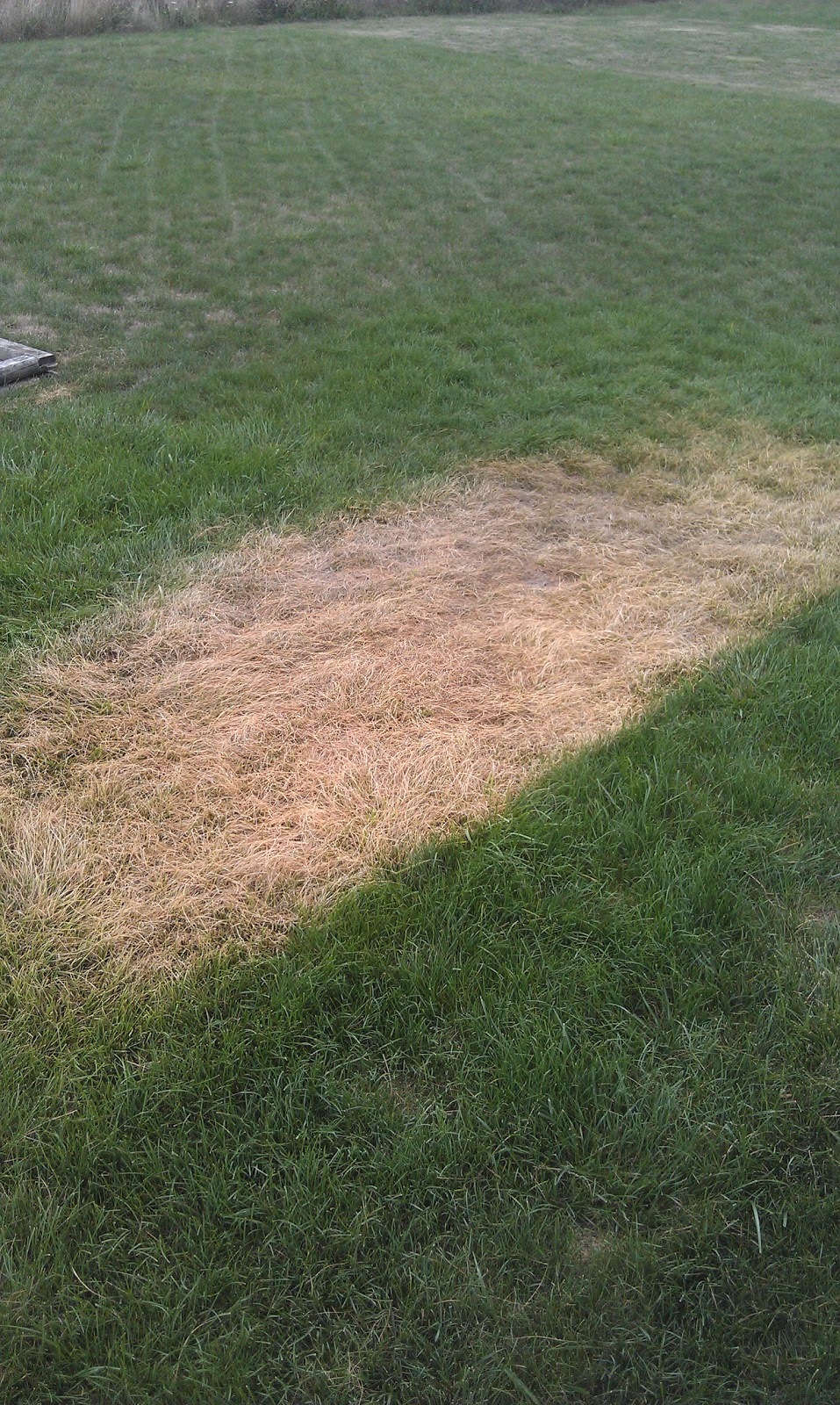 The Cool Science Dad Valuable Slip and Slide Lesson