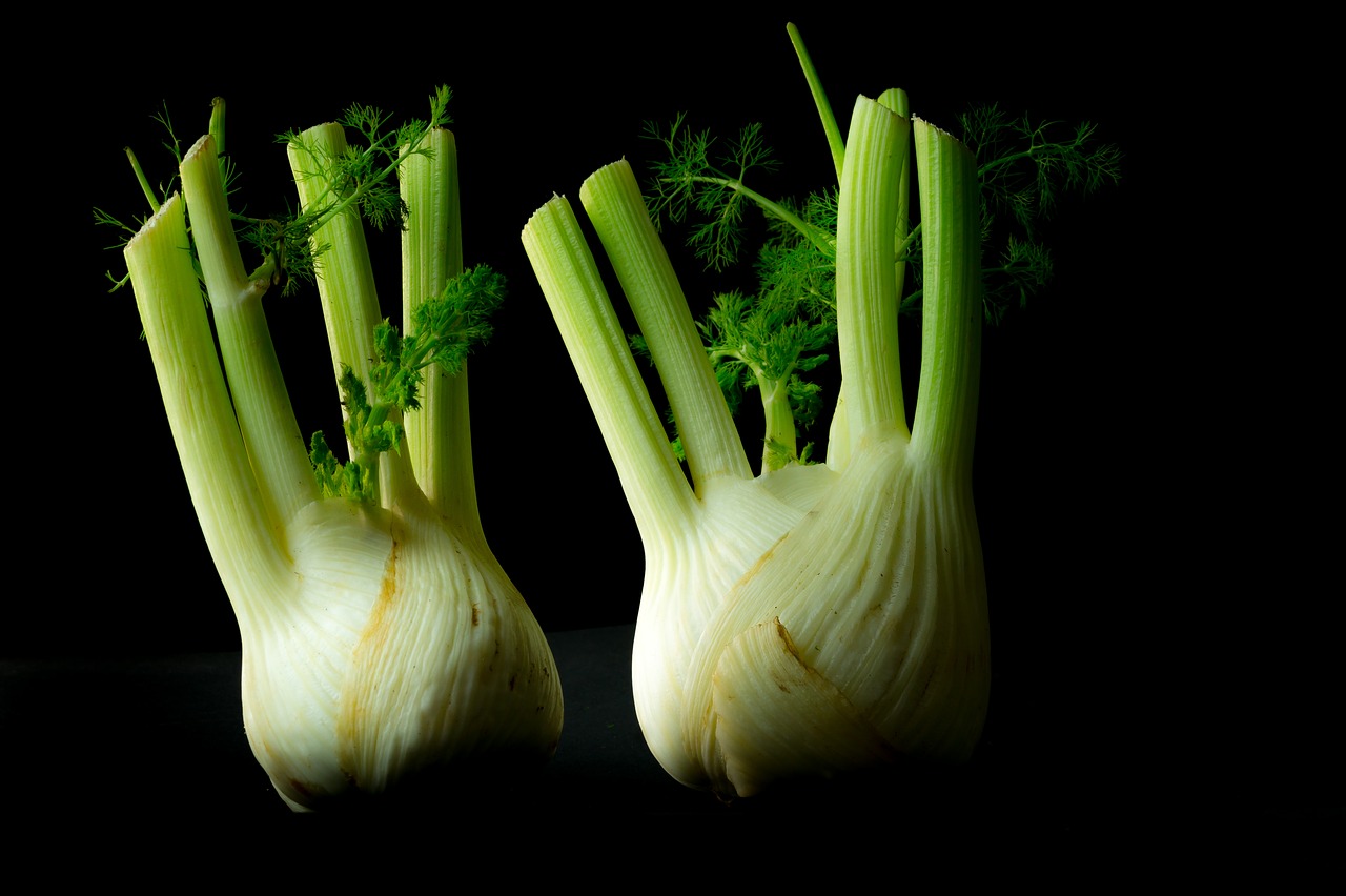 Can Dogs Eat Fennel? Is it safe for dogs to eat Fennel?