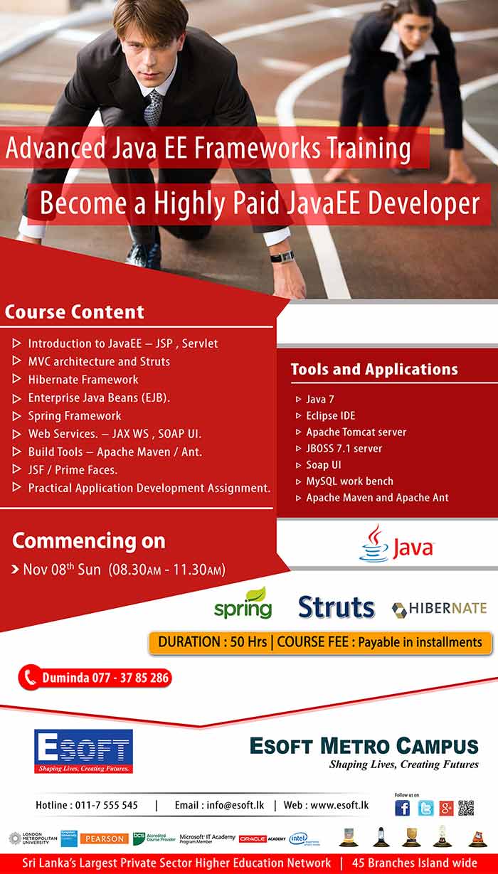 Become a Highly Paid JavaEE Developer 