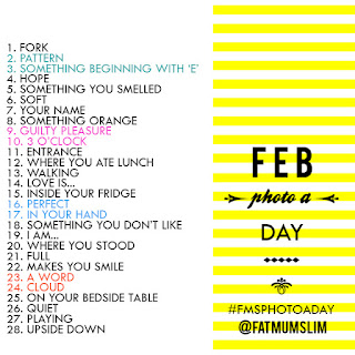 Fat Mum Slim - February 2013 Photo a Day list