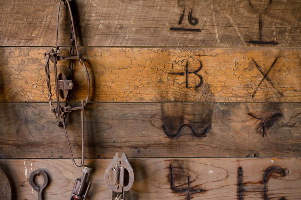 Texas Mountain Trail Daily Photo Images from Van Horn's Clark Hotel Museum