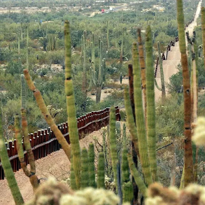El muro fronterizo en Arizona y Sonora daña la reserva natural
