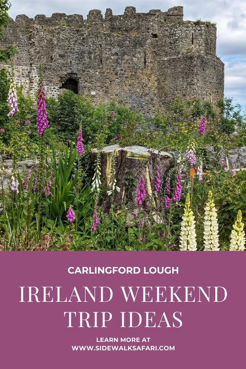 How to Plan the Best Road Trip to Carlingford Lough from Dublin