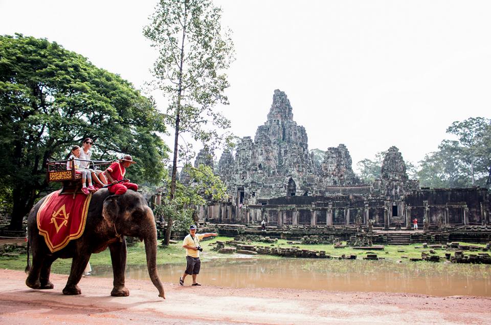 Cambodia Private Tour Elephants Ride Experience in Cambodia