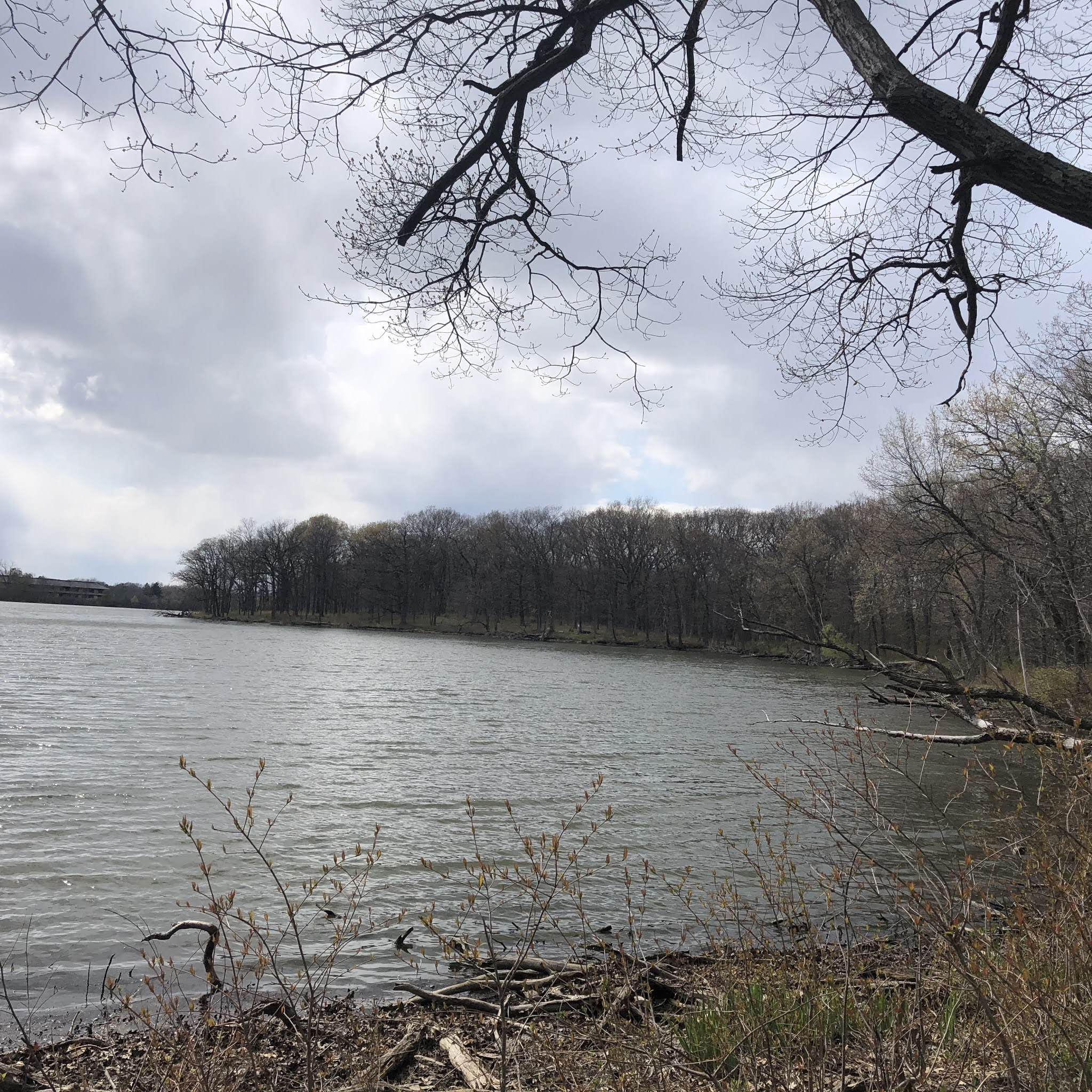 A Little Time and a Keyboard Wildflower Loving, Ravine Gazing and