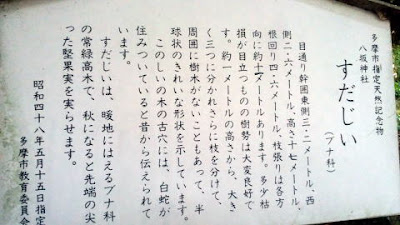 すだじい 案内板 すだじい 案内板