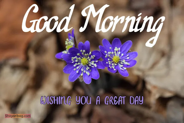 Good Morning With Flowers Images Good Morning With Flowers Images