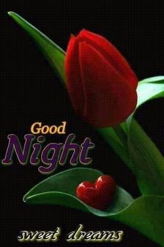 good night wishes images