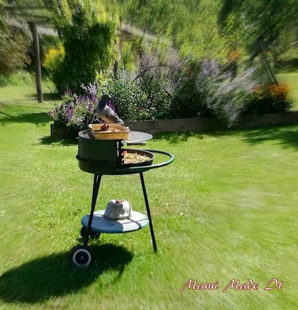 Griller-Hauswurztopf-Vogelbad-Kombination/barbecue grill-houseleek-birdbath-combination