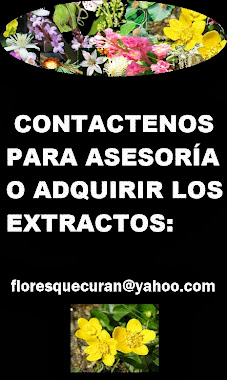 contacto